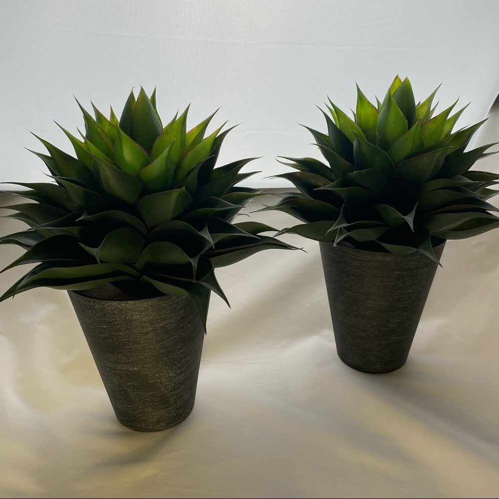 Artificial 14 inch Agave Succulent Plant (Set of 2) - Picture 1 of 4